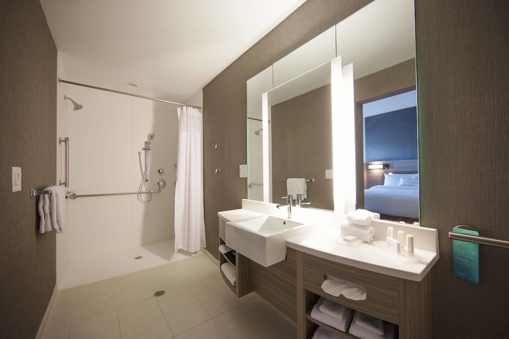 SpringHill Suites by Marriott Athens Downtown/University Area 17/41