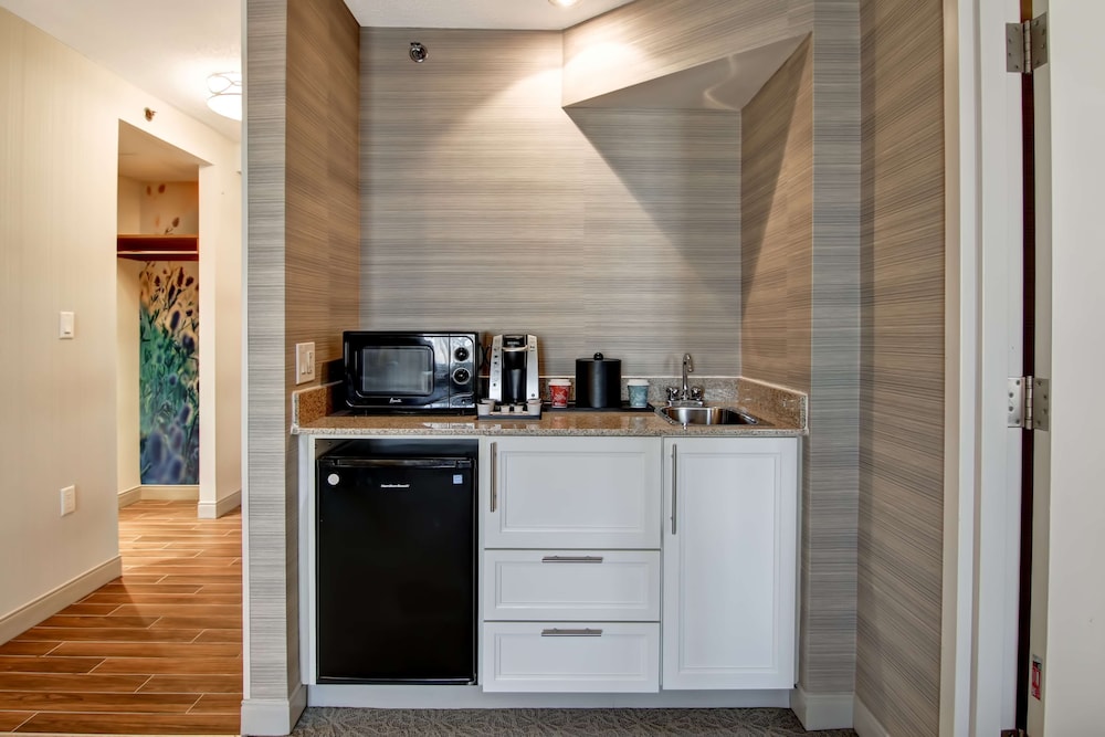 Hilton Garden Inn Toronto Mississauga 21/54