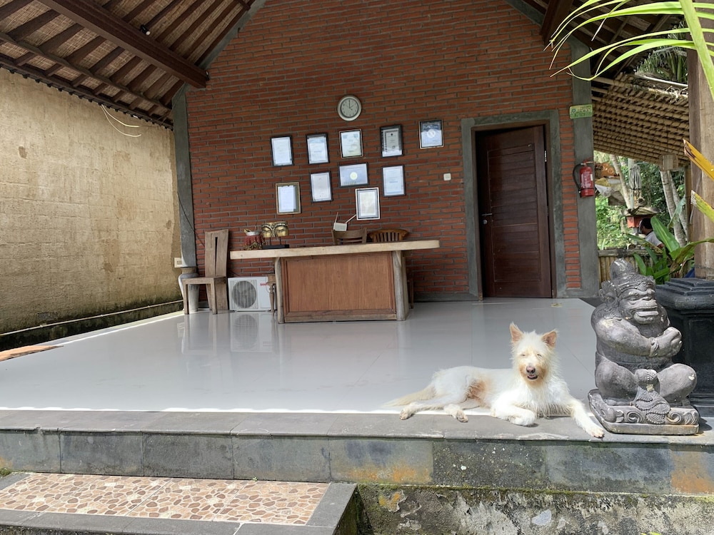 Bagiya Suites & Villas 16/47