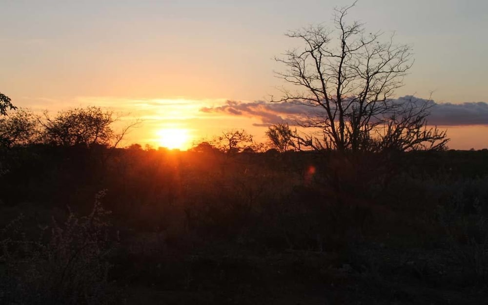 Adansonia Eco Lodge 12/22
