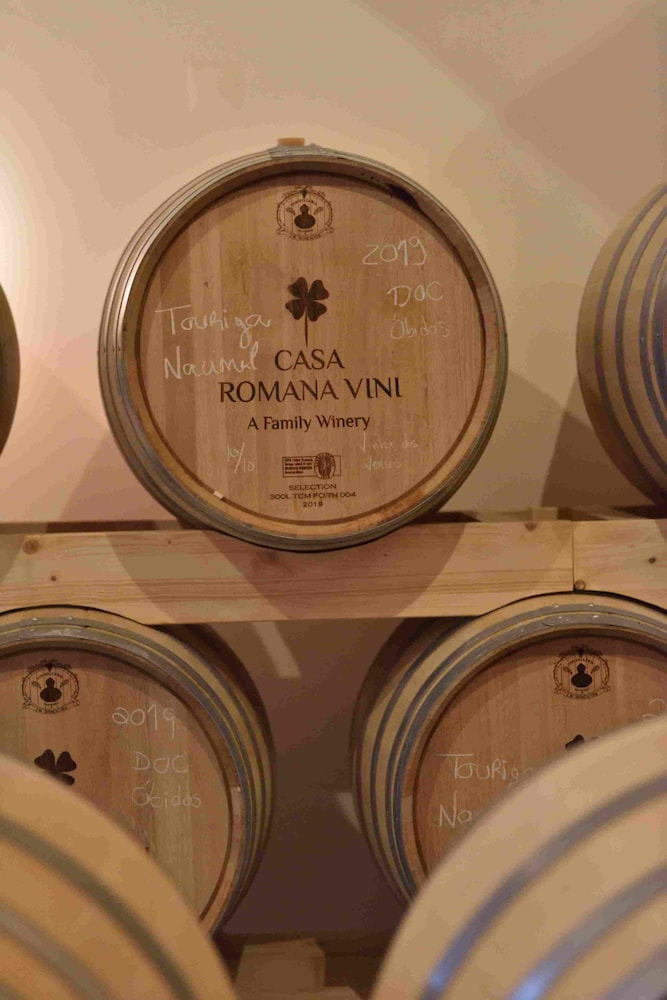 Quinta do Porto Nogueira by Romana Vini 22/50