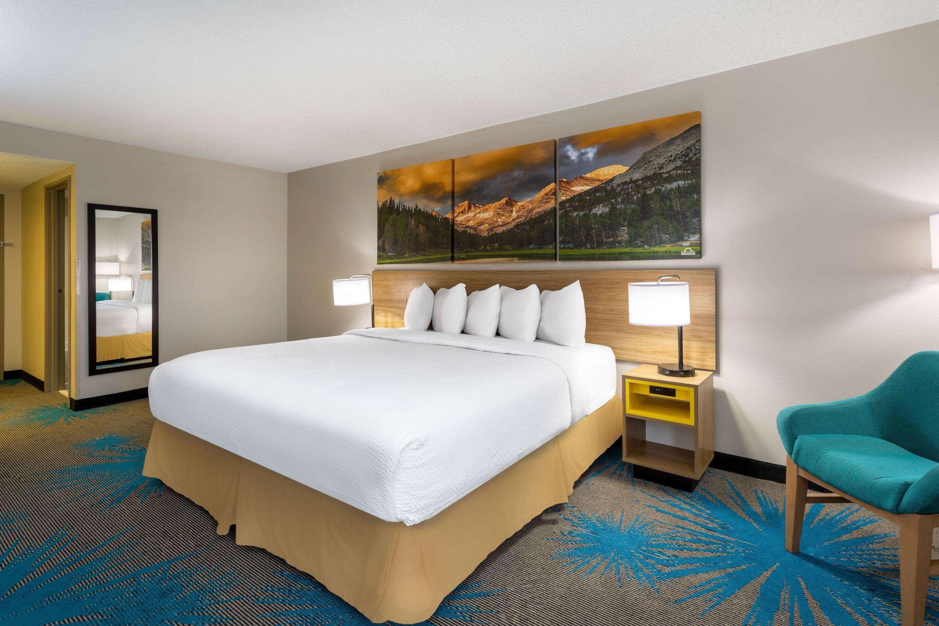 Room, King Bed