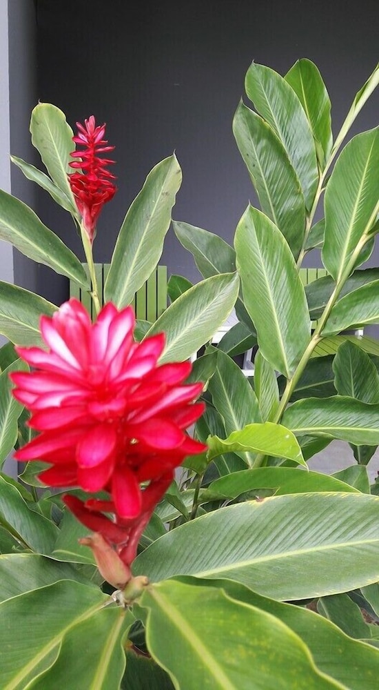 Kanvela Resort 32/37