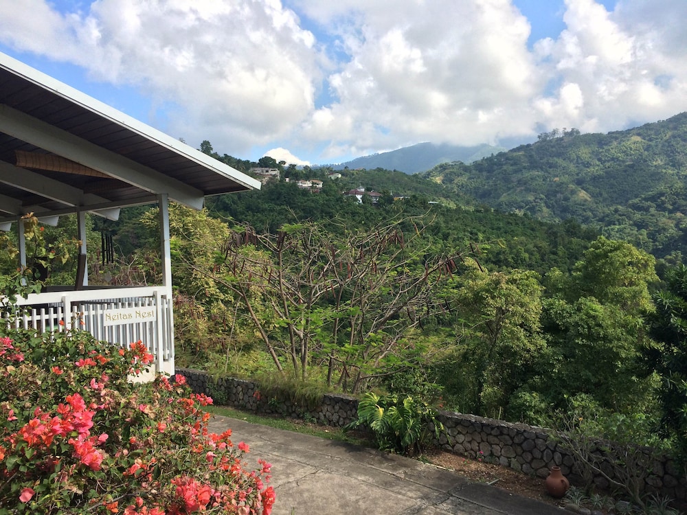 Neitas Nest Jamaican Bed And Breakfast 17/22