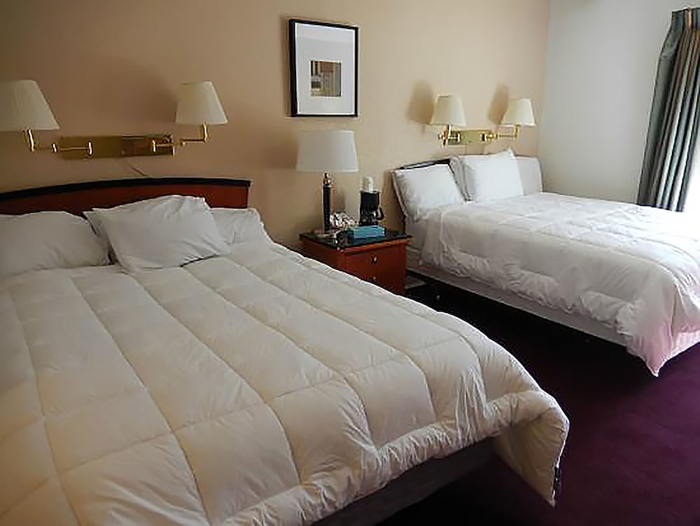 Classic, Single, 2 Queen Beds