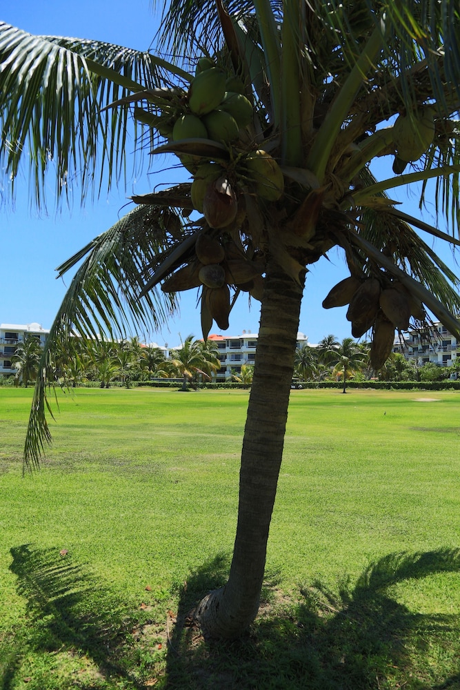 Hotel Green 16 Extended Stay 45/49