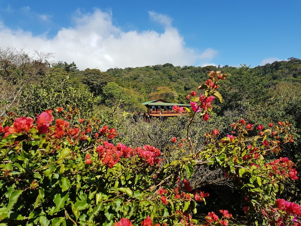 Monteverde Cloud Forest Lodge 36/47