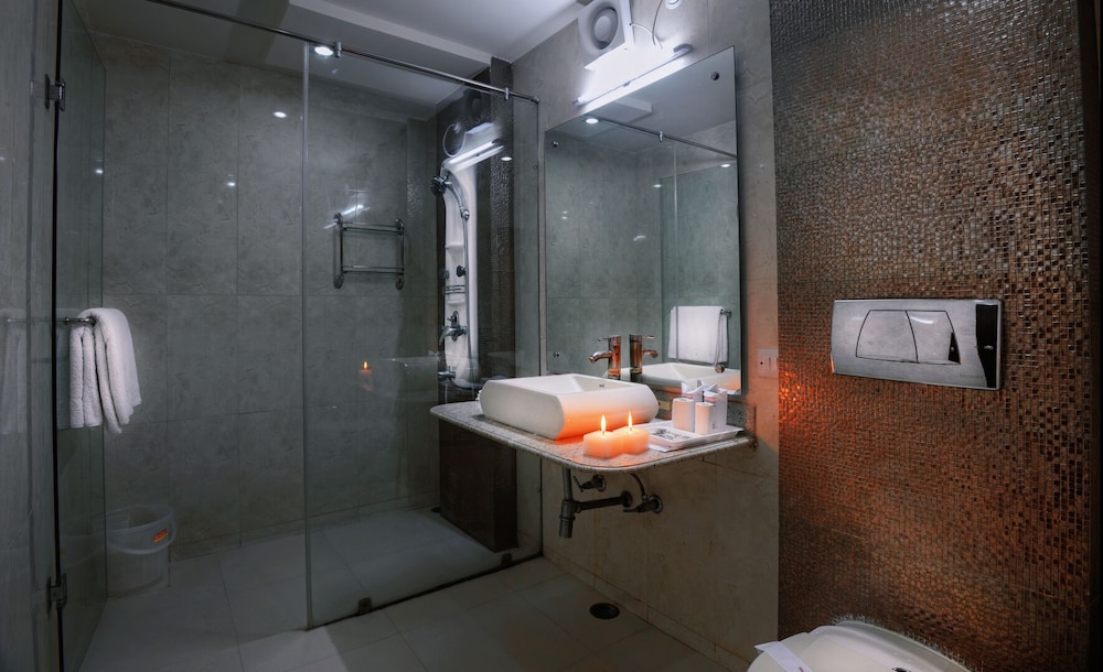 Royale Sarovar Portico Agra 31/65