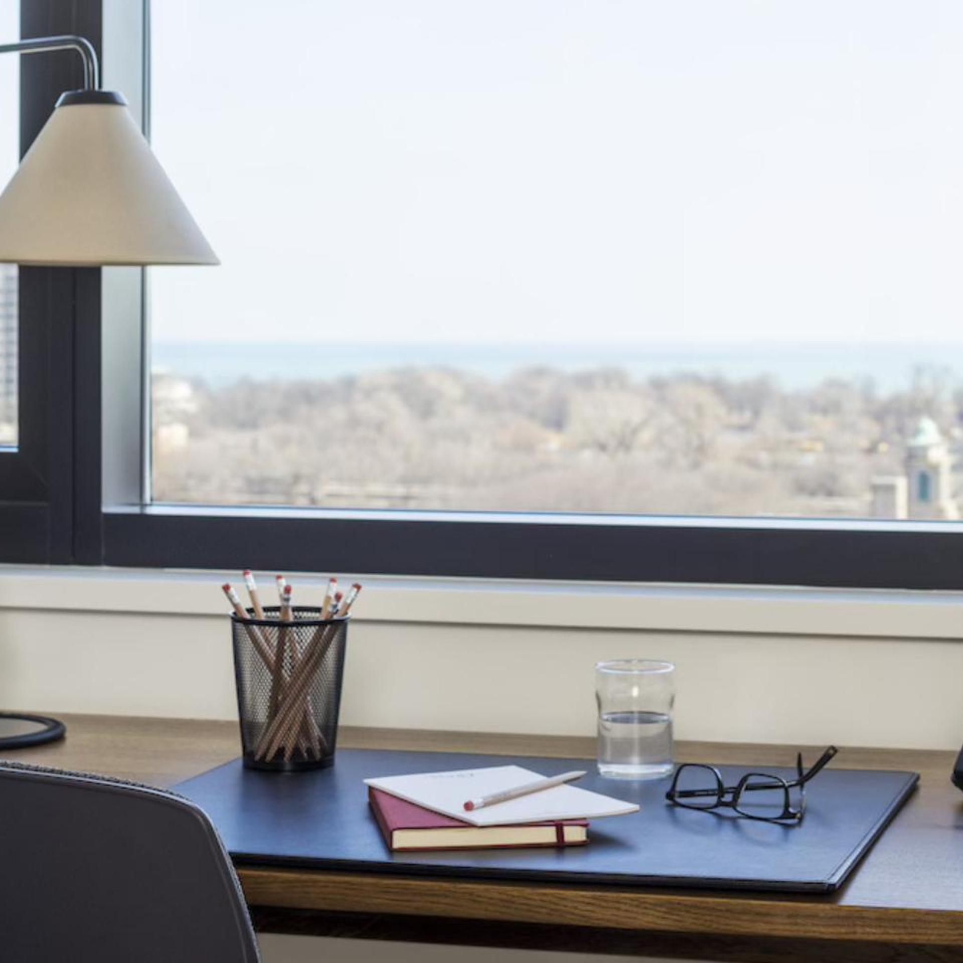 The Study at the University of Chicago 18/46