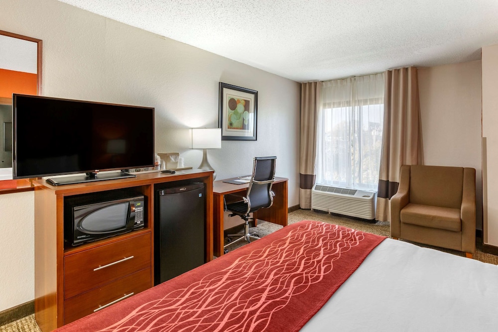 Comfort Inn Greensboro - Kernersville 13/32