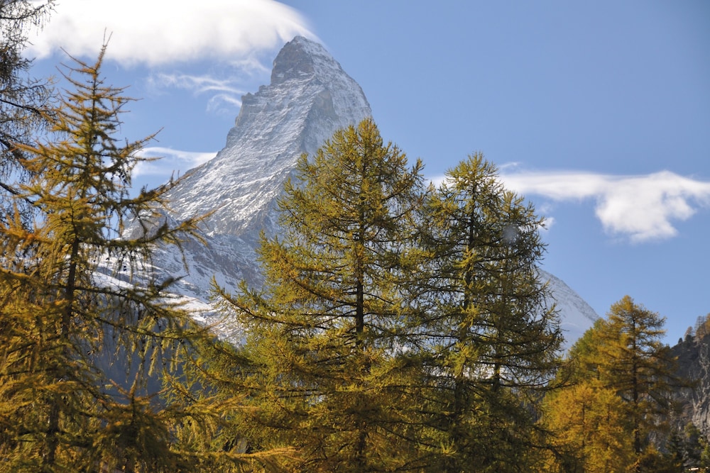 Youth Hostel Zermatt 60/64