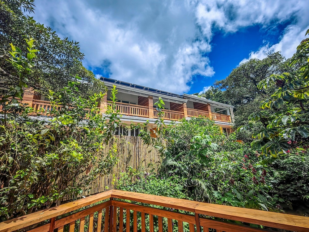 Monteverde Lodge and Gardens 3/50
