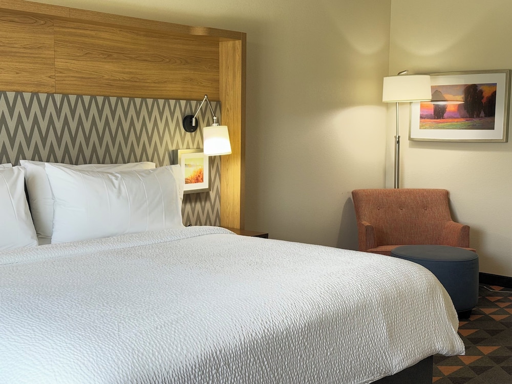 Standard, King Bed, Holiday Inn Suites Fayetteville W Fort Bragg Area 3/6