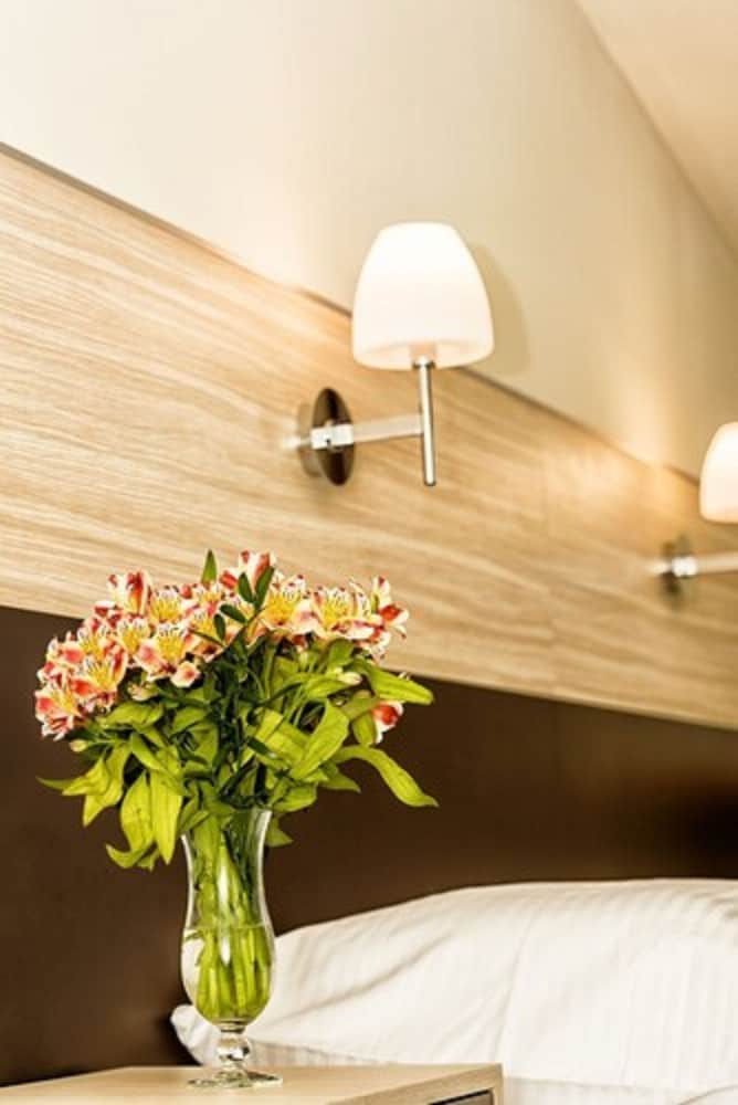 KAZIMIERZ III酒店(HOTEL KAZIMIERZ III) 图片5