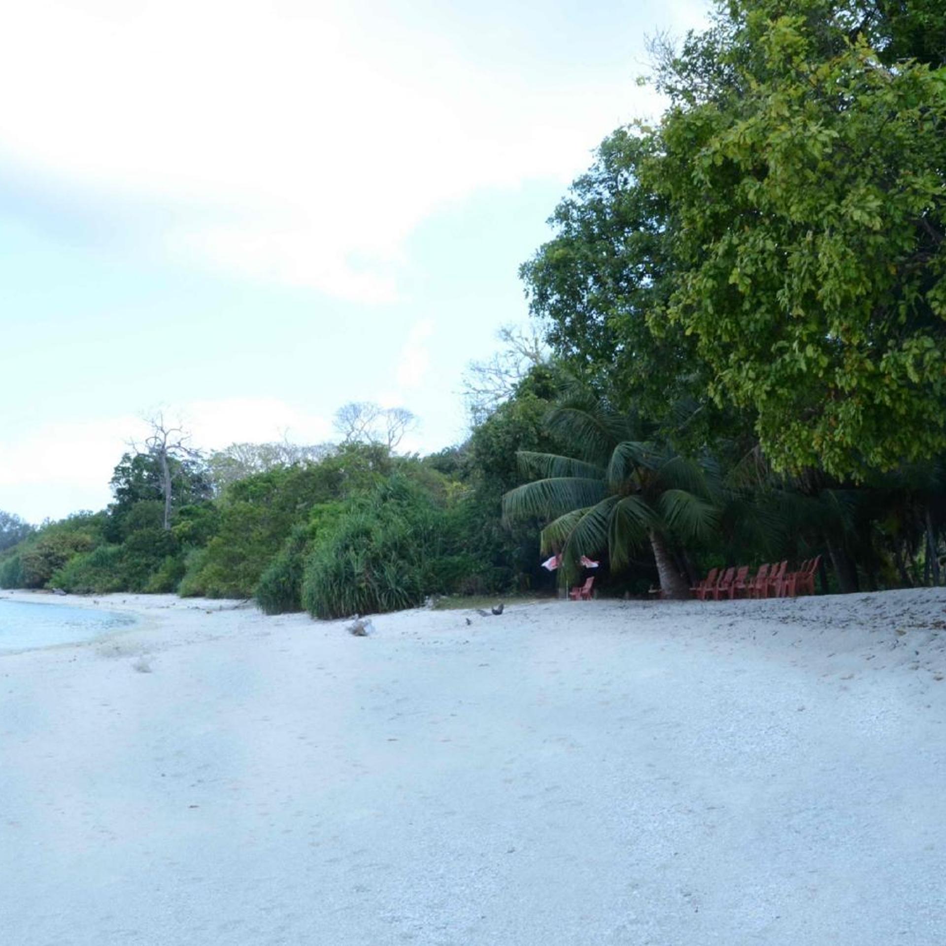 Coconhuts Beach Resort-Neil Island 41/49