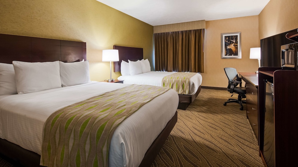 Best Western Gaylord 13/36