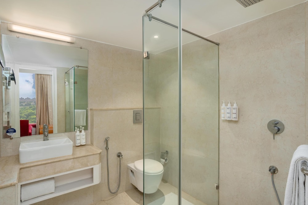 Park Inn By Radisson New Delhi Ip Extension 62/62