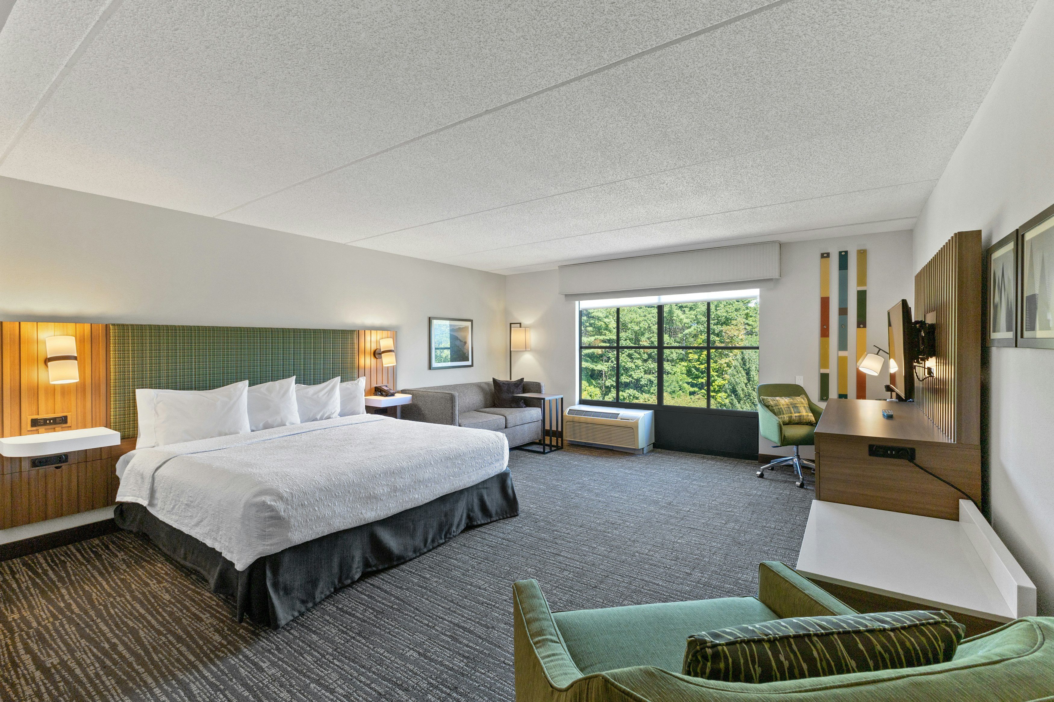 SUITE, KING BED, ACCESSIBLE