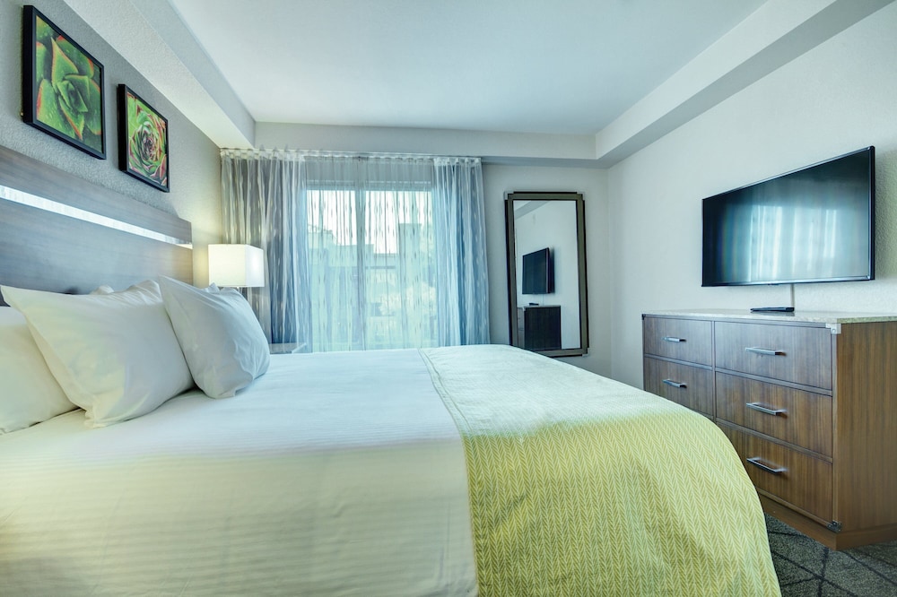 Desert Rose Resort 10/47