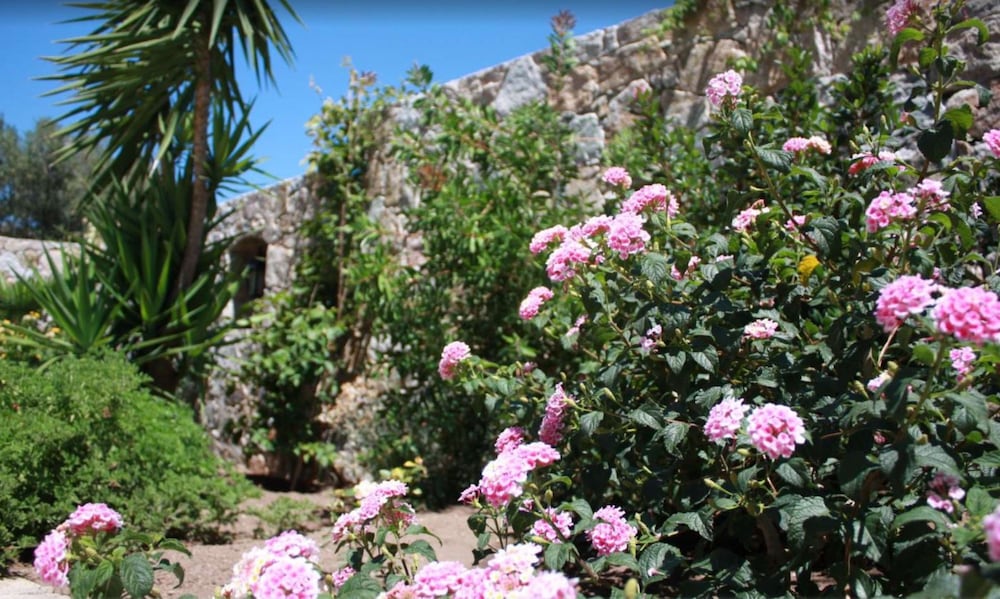 Residence Benista 31/42