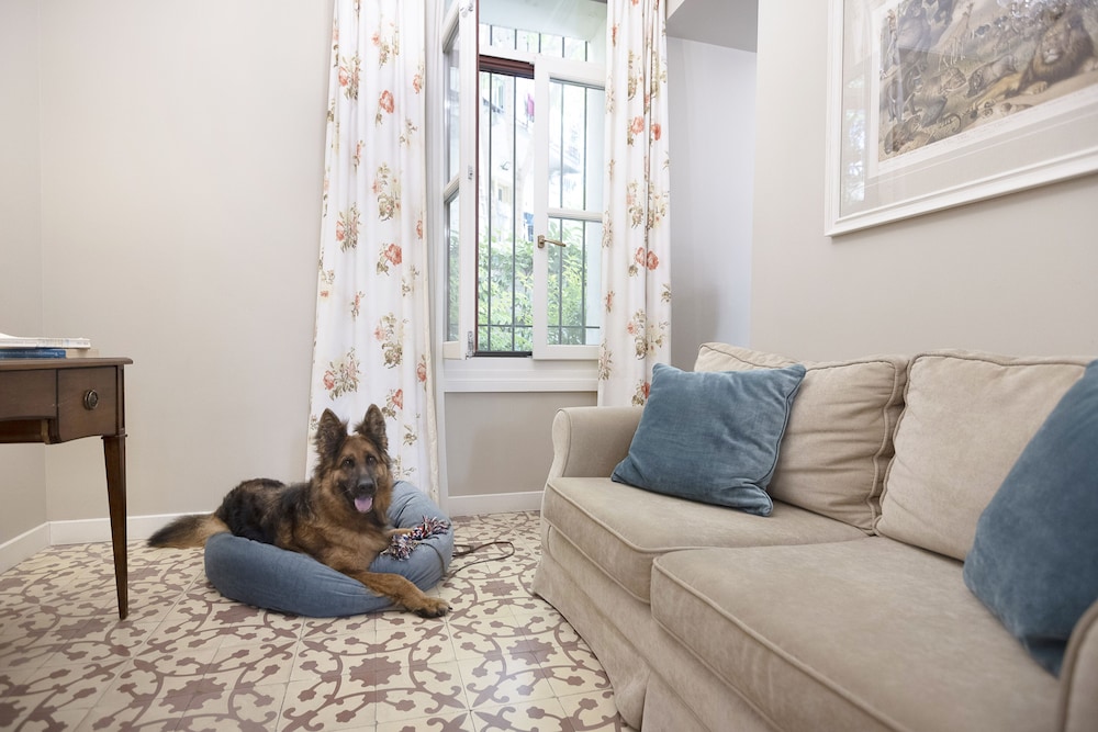 Gatto Perso Luxury Apartments 22/50
