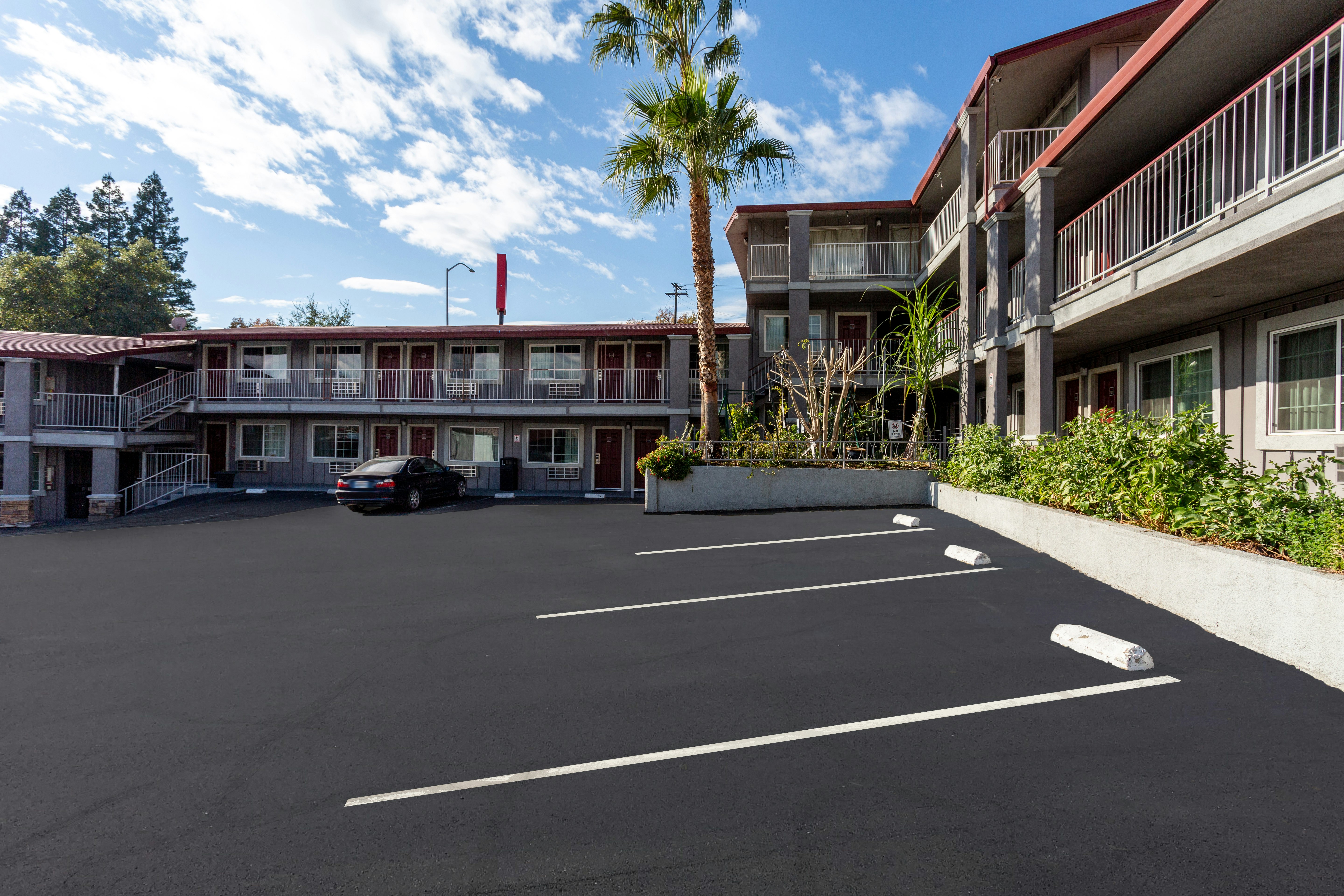 Red Roof Inn Redding (ex Ponderosa Inn) 19/26