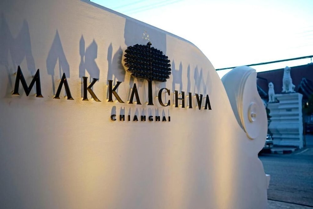 Makkachiva 74/78