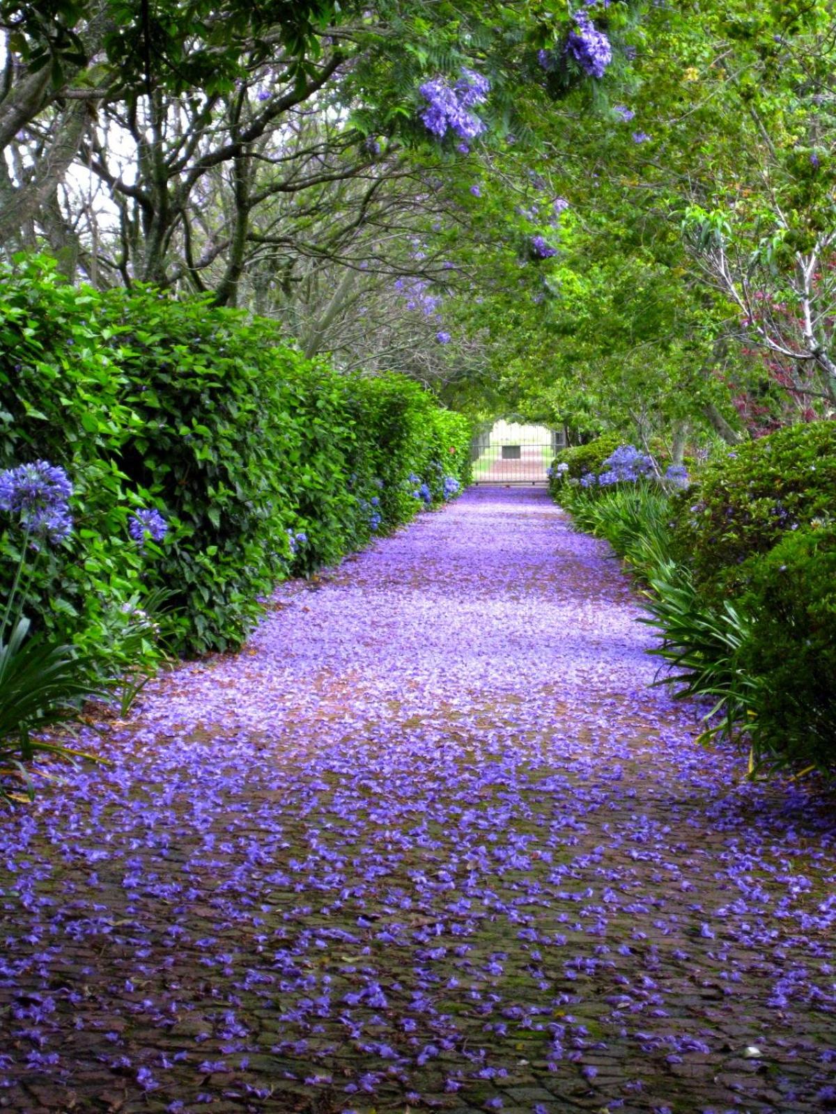 Malvern Manor Country Guest House 9/15