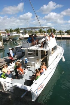 Flamingo Bay Hotel And Marina 38/51