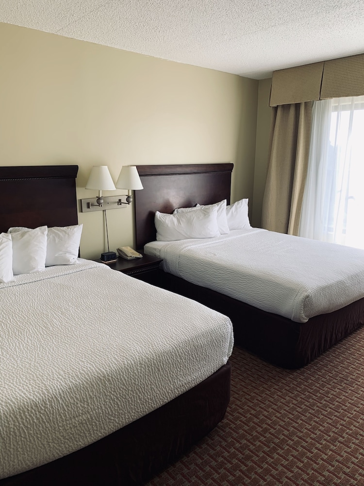 Euro Suites Hotel 9/52