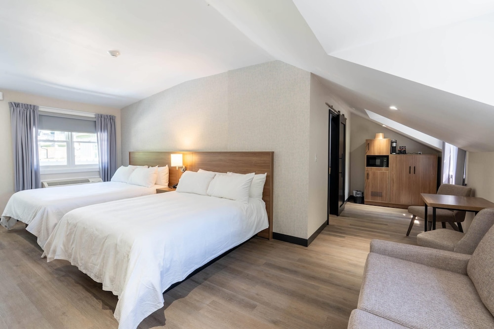 Room, Multiple Beds