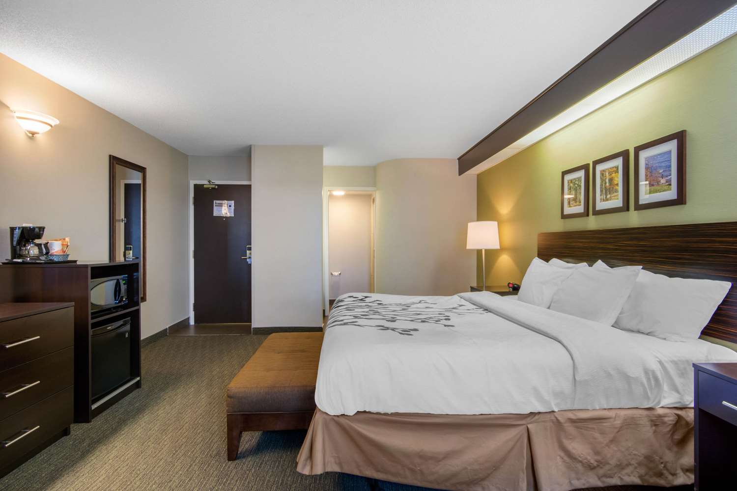 Sleep Inn Sault Ste. Marie 8/41