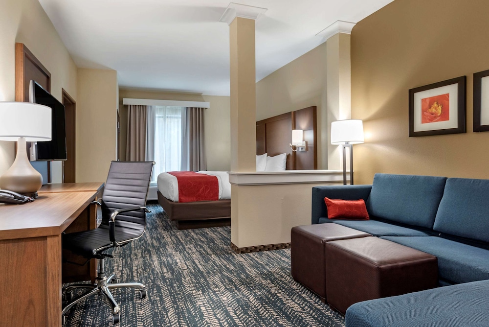 Comfort Inn and Suites Downtown near University 18/29