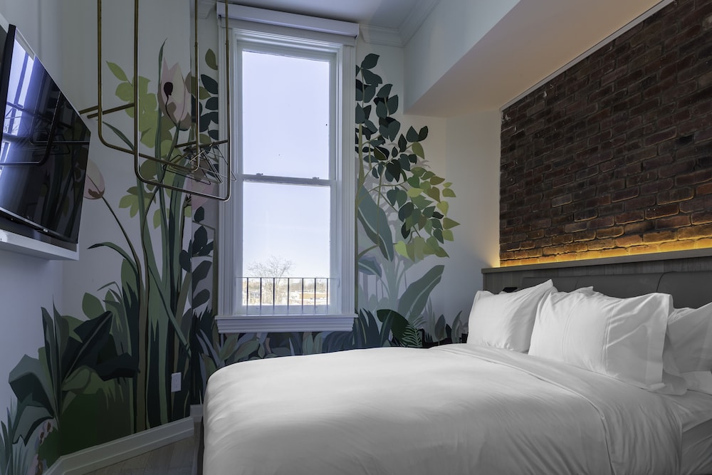 STUDIO, QUEEN BED