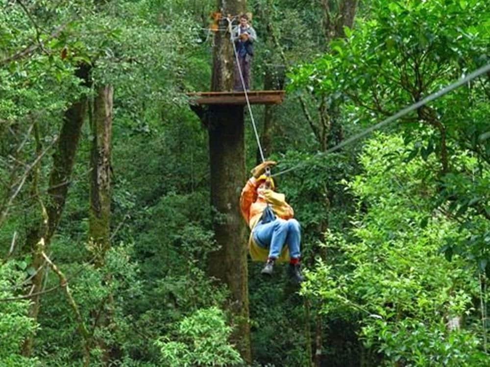 Camino Real Tikal 38/49