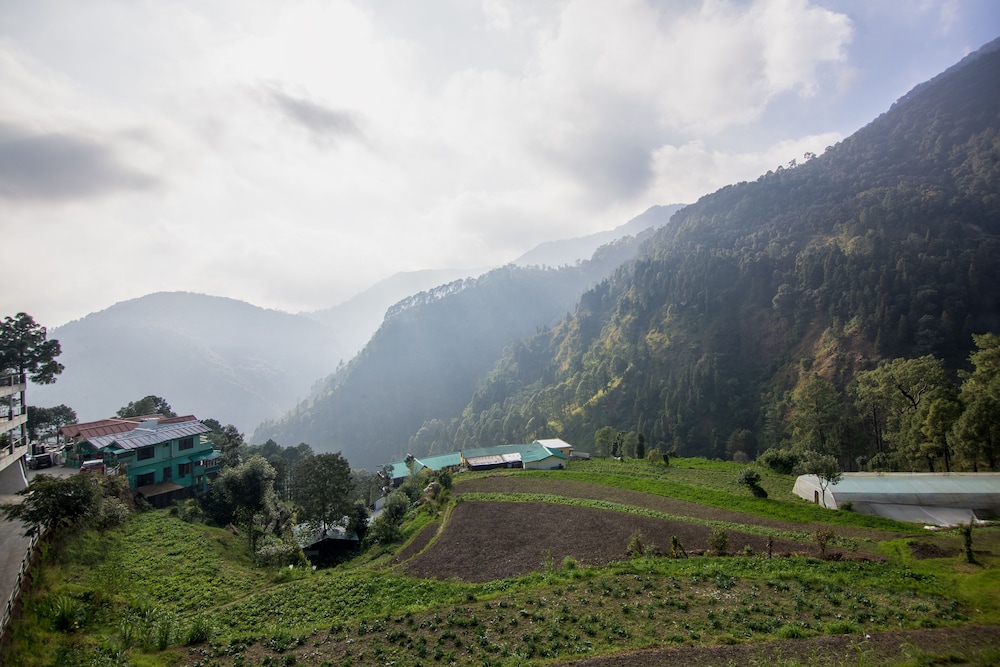 Sterling Nainital 42/47