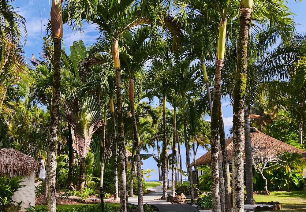 Motu Beachfront Art Villas 52/65