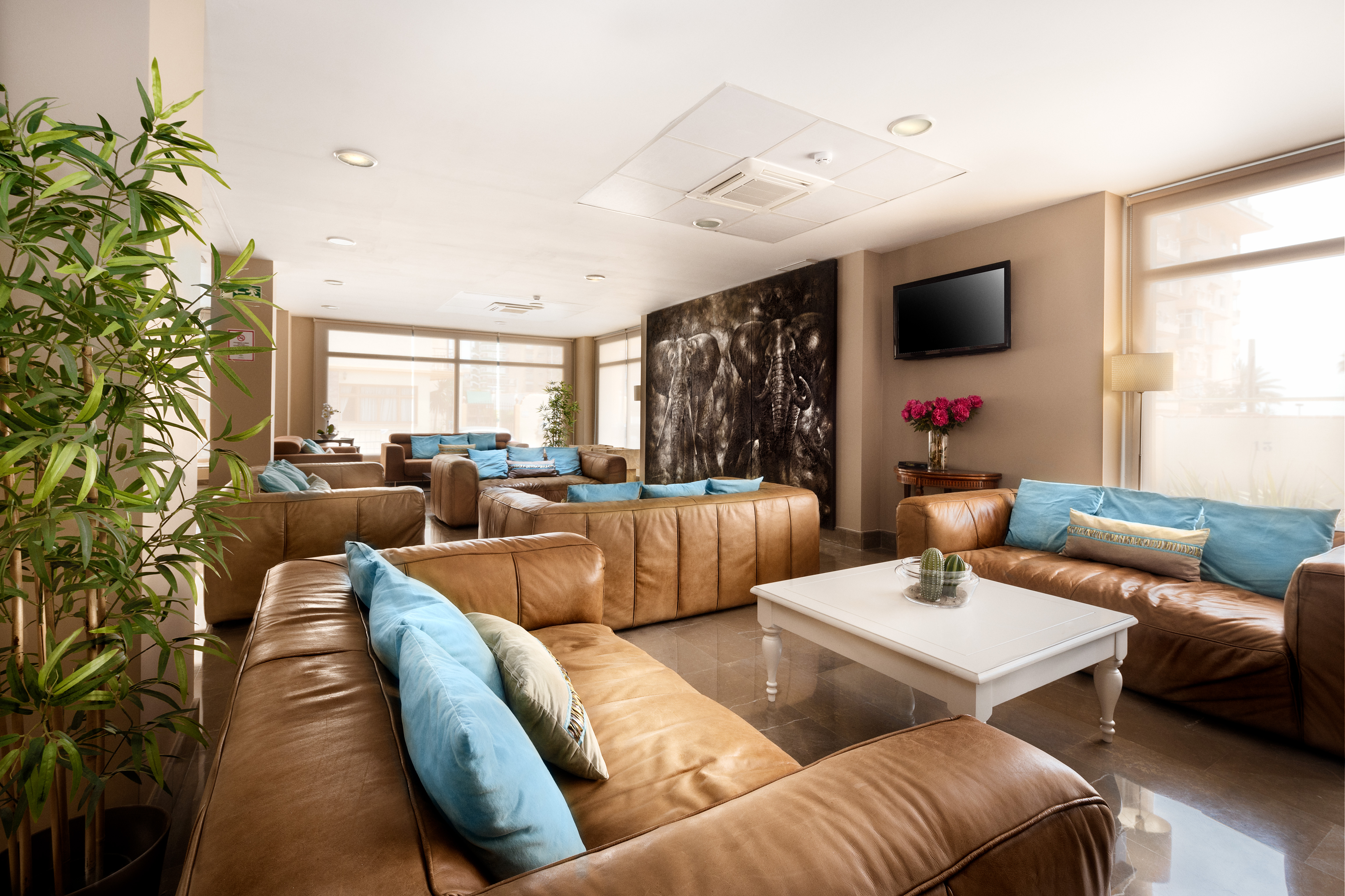 Hotel Mainare Playa 19/35