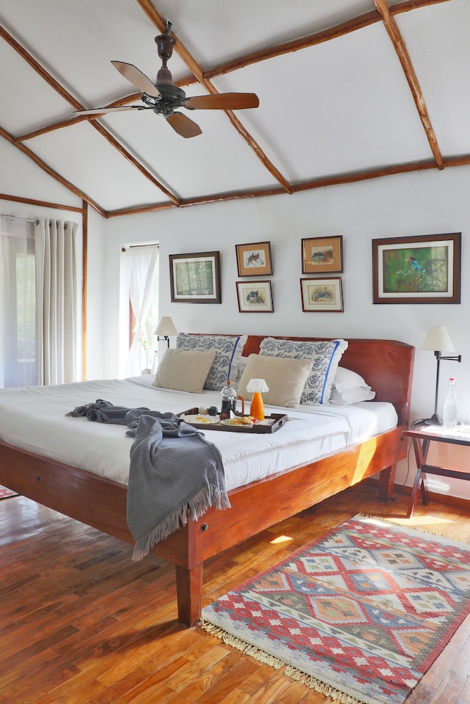 JUNGLE, LODGE
