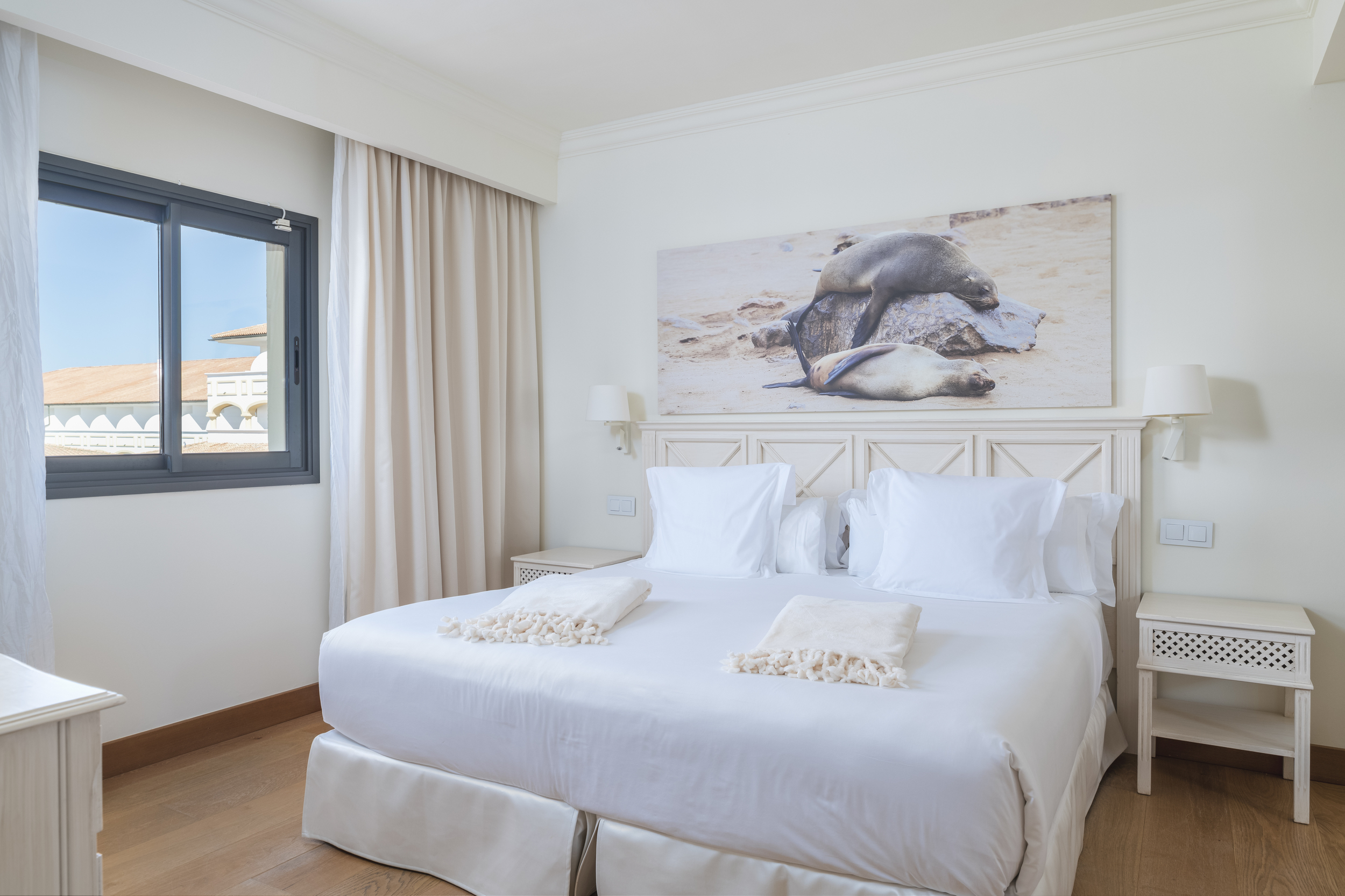 Junior Suite, Single