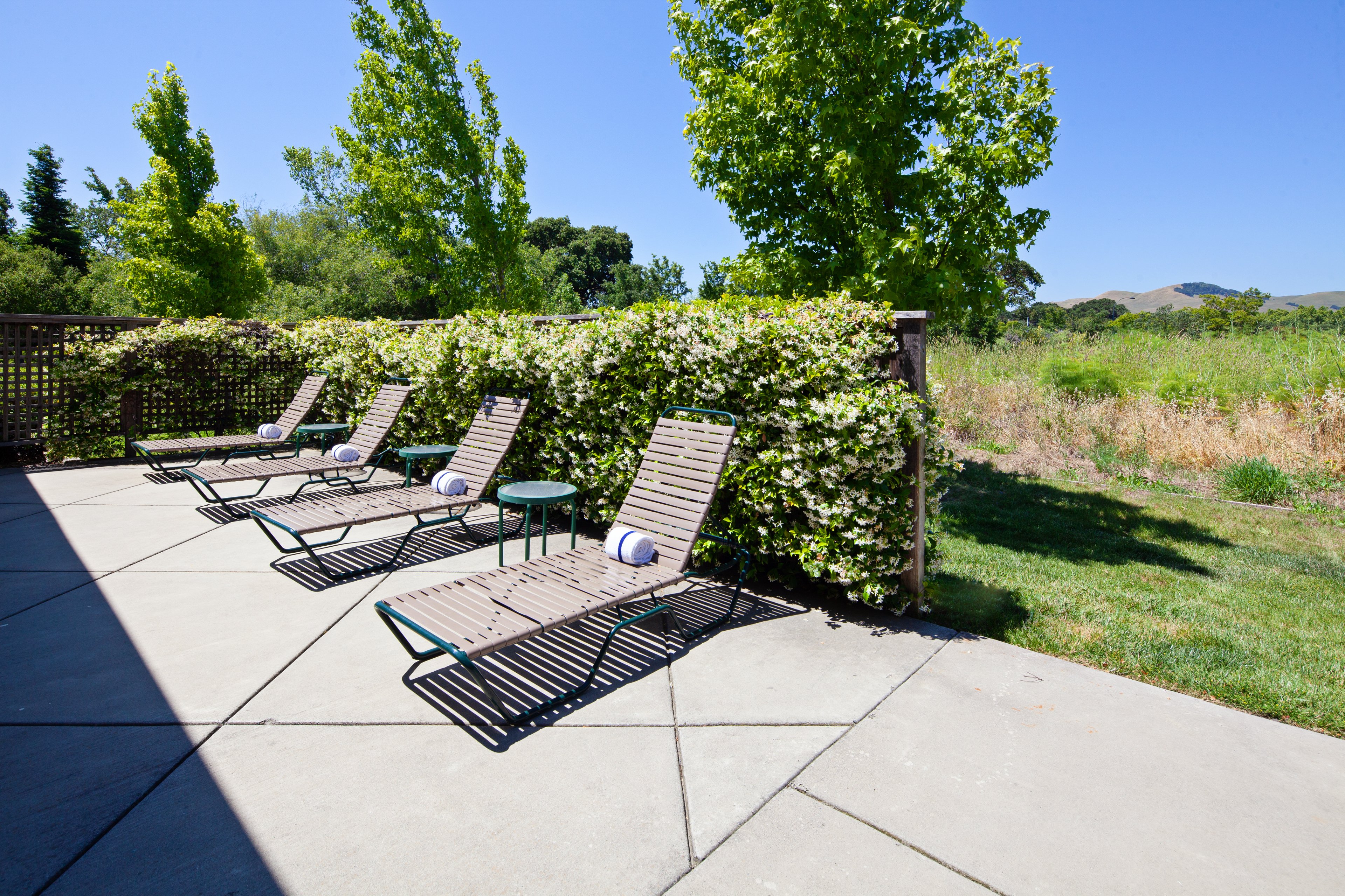 Staybridge Suites Fairfield Napa Valley Area 33/66