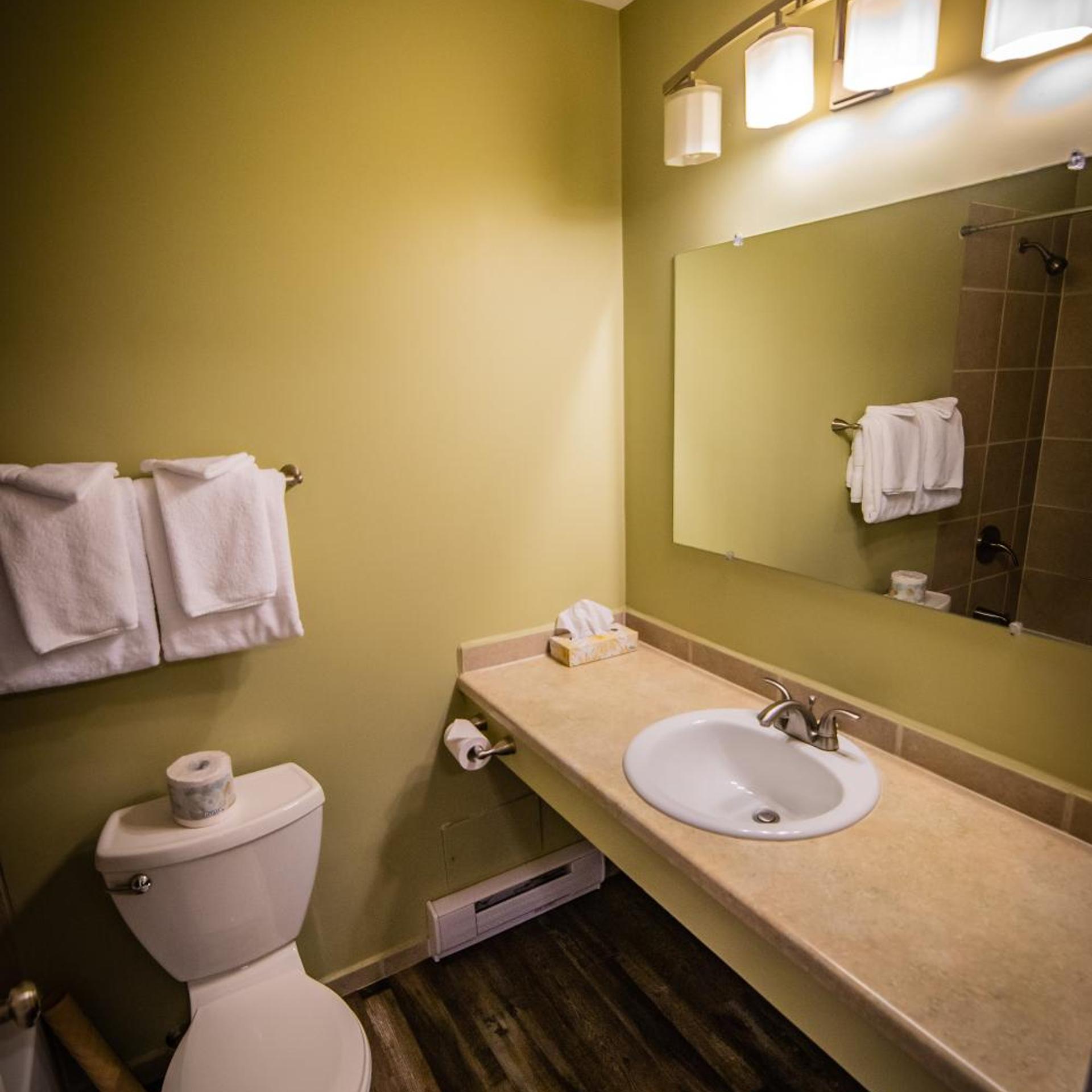 Alpine Inn & Suites 46/50