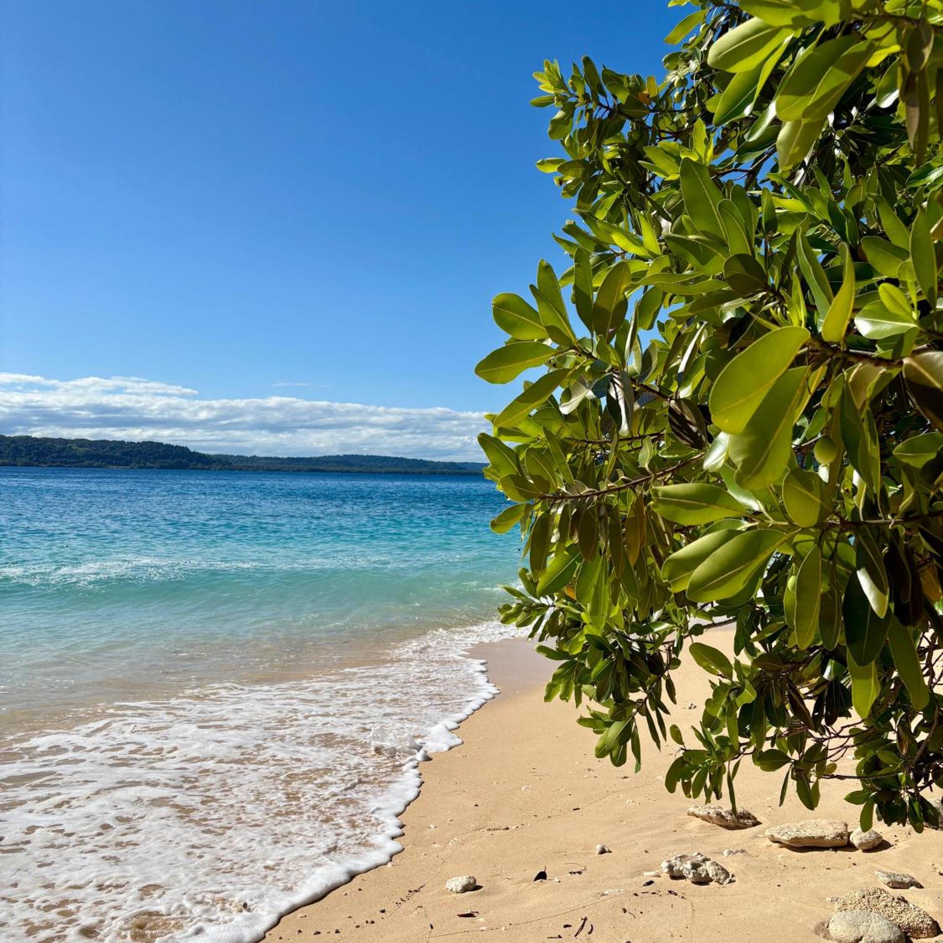 Dany Island Eco Resort 31/50