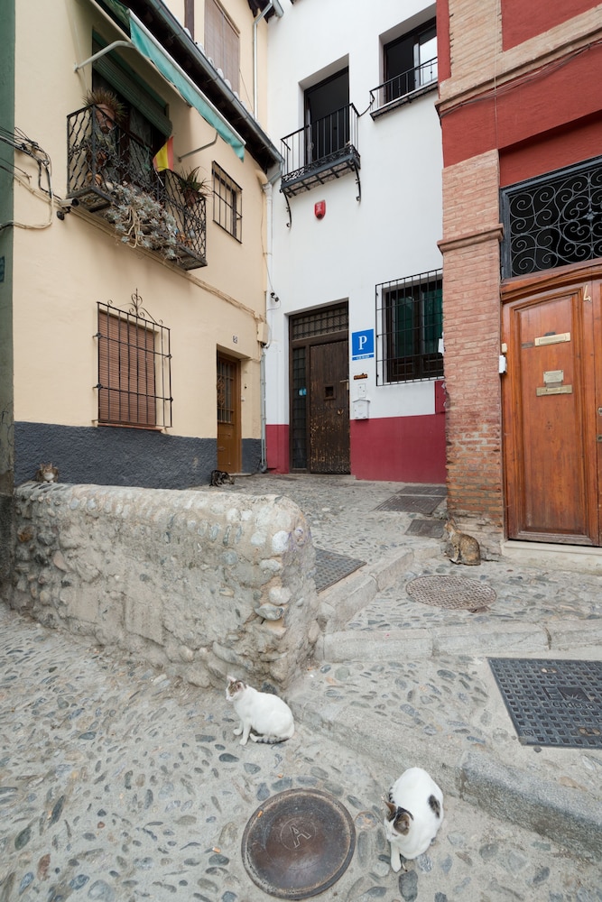 Oasis Backpackers Hostel Granada 47/50