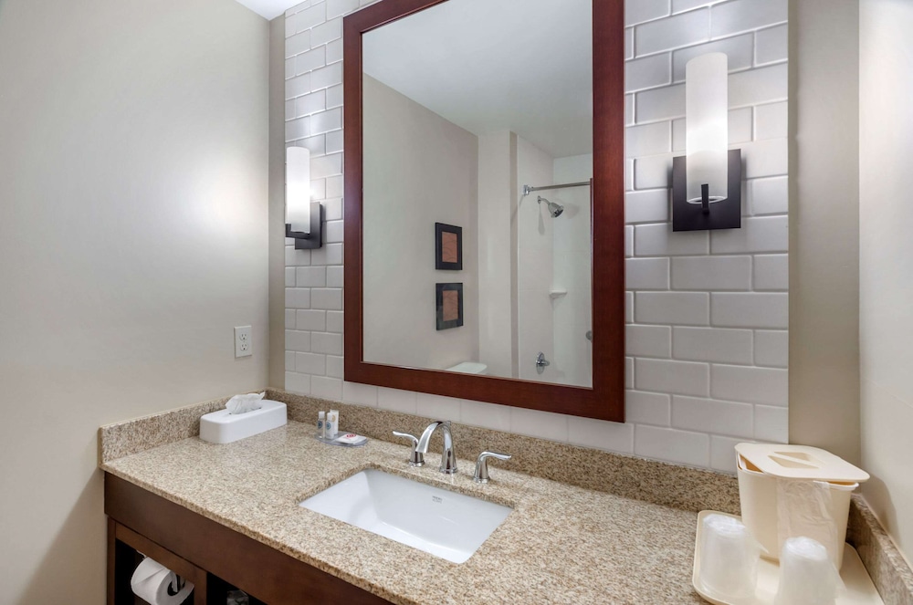 Comfort Inn & Suites Lynchburg Airport - University Area 16/40