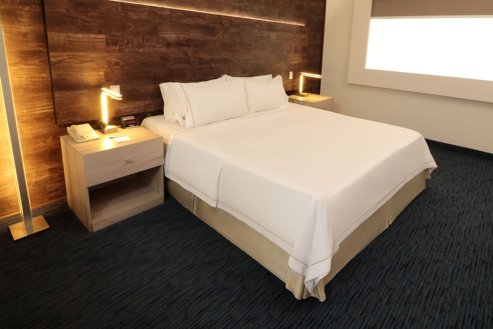 Holiday Inn Express San Luis Potosi 21/80