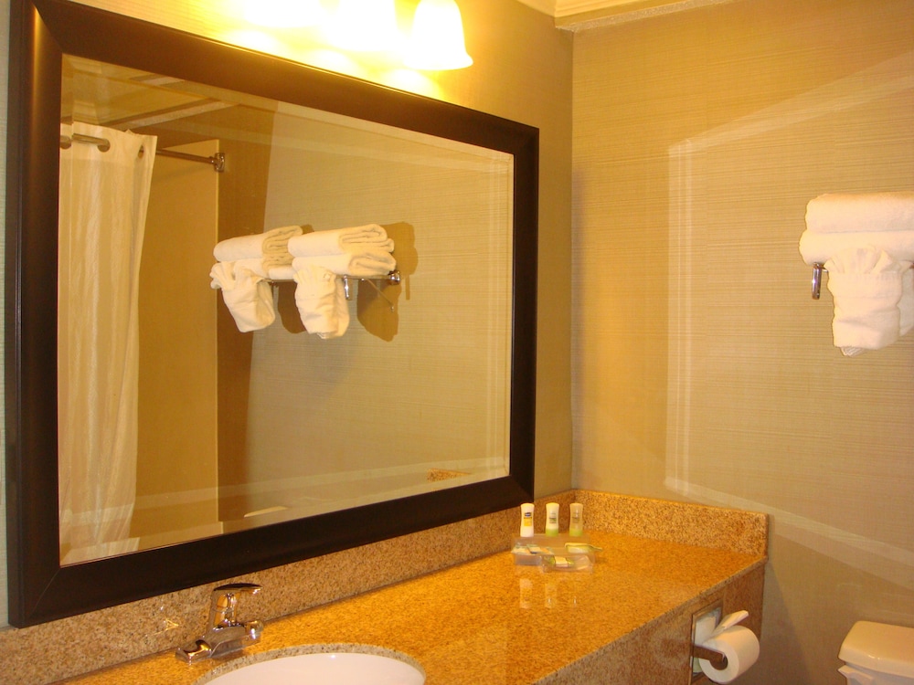 غرفة بسرير كينج، Country Inn Suites By Radisson Norcross Ga 4/4