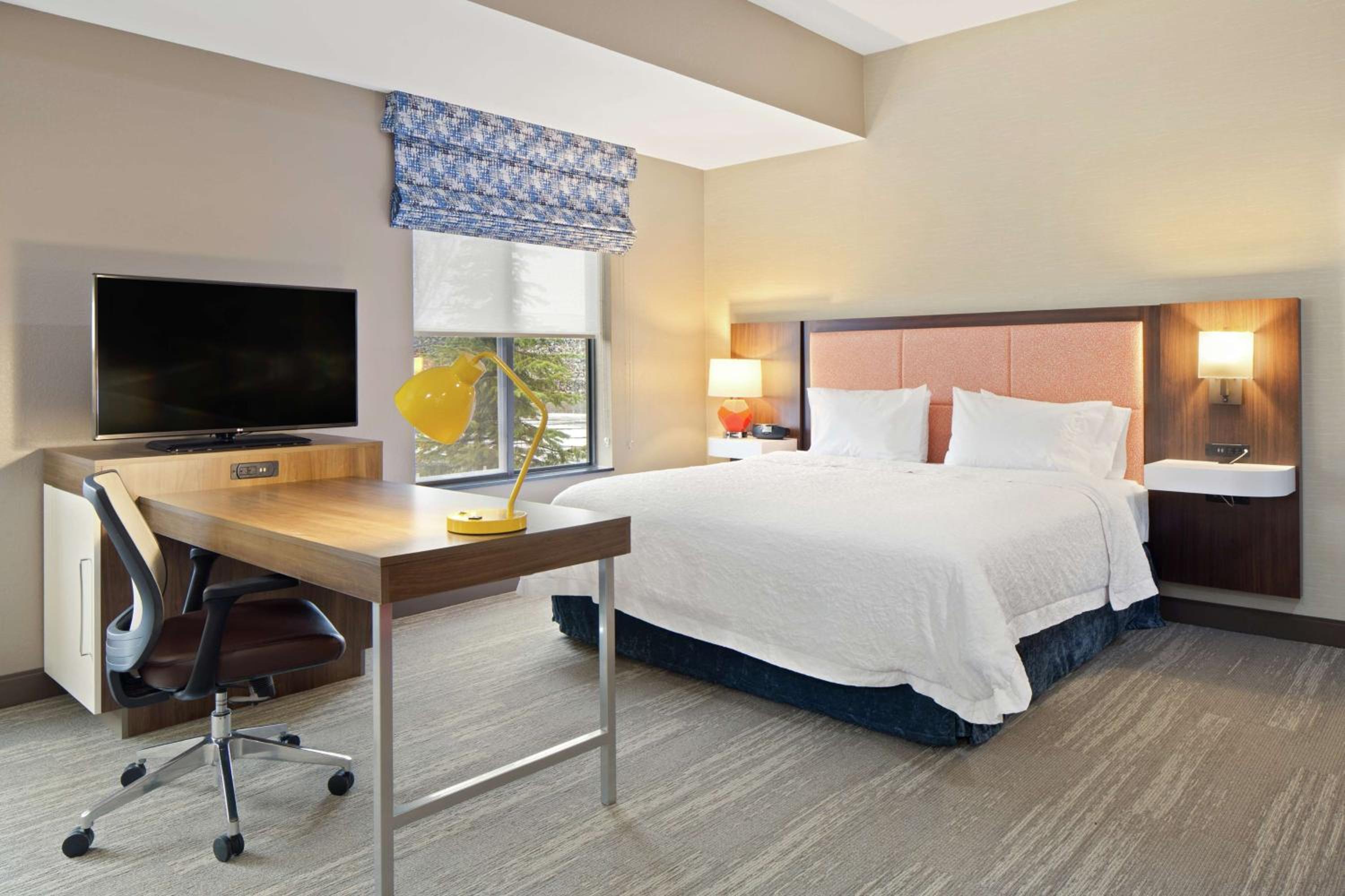 STUDIO, SUITE, KING BED, SOFA