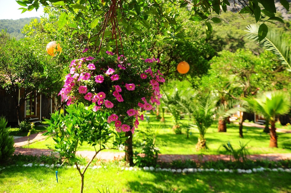 Likya Evleri Olympos - Adults Only 8/27
