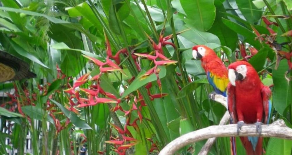The Bali Purnati Center For The Arts - Adults Only 41/50
